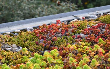 the cost of Thurton green roof installation