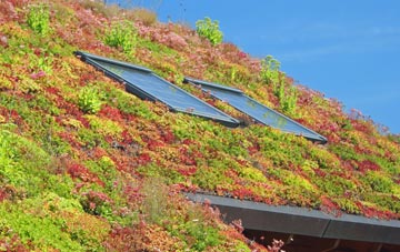 Thurton living roof systems